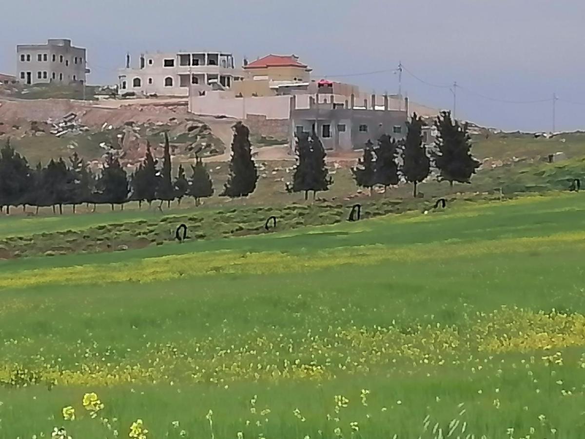 Villa Zee Madaba Exterior photo